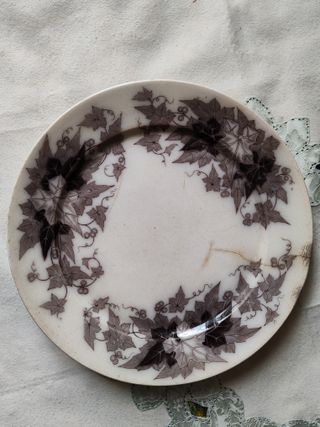 Tre rari piatti in ceramica Bryonia fine 1800