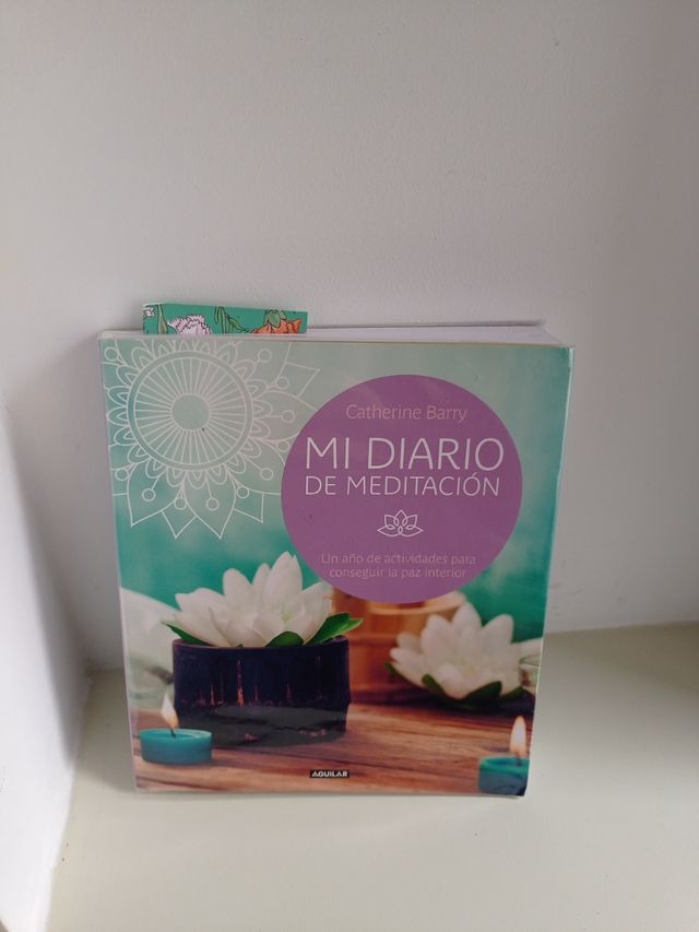 Mi diario de meditación: Un año de actividades para conseguir la paz interior