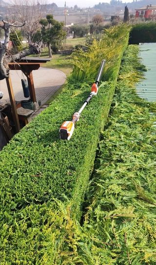 Jardinero económico