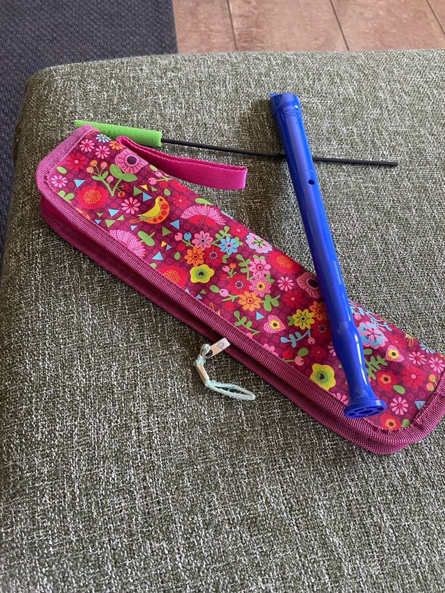 Flauta escolar y funda.