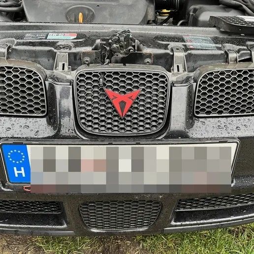 Rejilla abeja SEAT LEON MK1