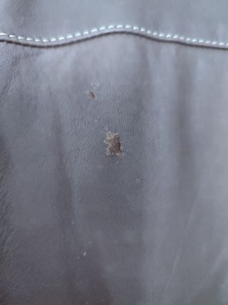 Abrigo Zara 100% Leather (piel)