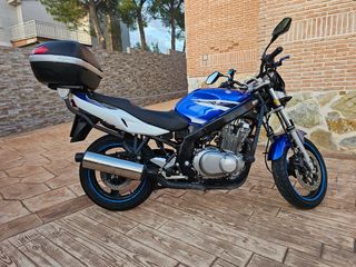 Suzuki Gs 500
