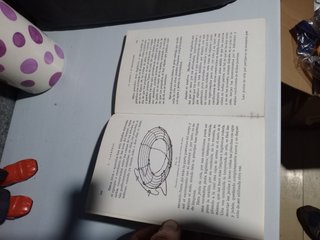 Libro de cuidado y cria de canarios