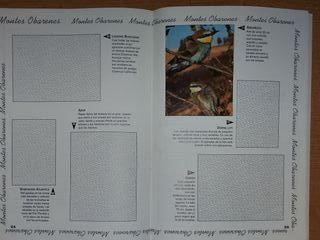 Colección de cromos maravillas de Burgos.