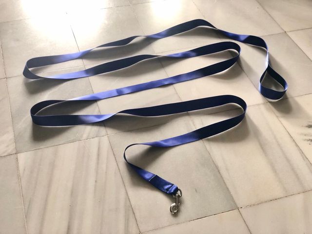 Correa Larga (varios Metros)