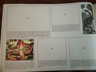 Álbum Incompleto Maga Ciencias