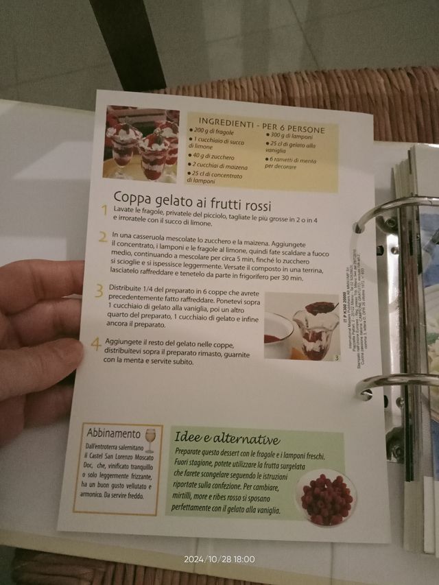 Raccoglitore+42 schede cucina