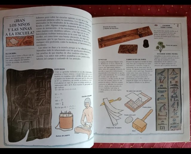 Libros "¿Qué sabemos sobre...?"