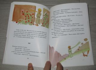 LIBRO EL PRINCIPITO
