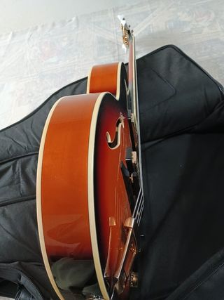 Ibanez Bajo eléctrico Hollowbody shortscale