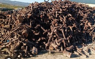 Venta de leña diferentes tipos