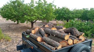 Venta de leña diferentes tipos