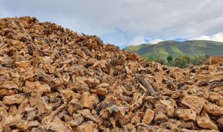 Venta de leña diferentes tipos