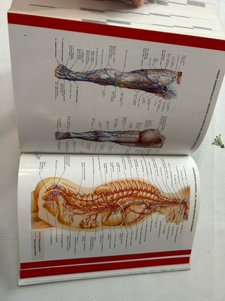 Diccionario terminológico de ciencias médicas