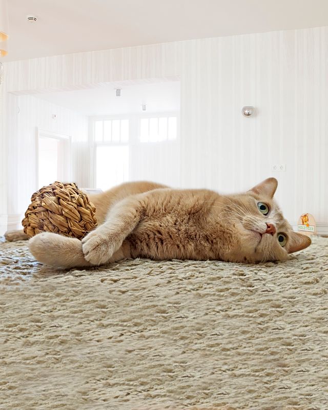 Fotógrafo. Reportajes Fotográficos en Exteriores