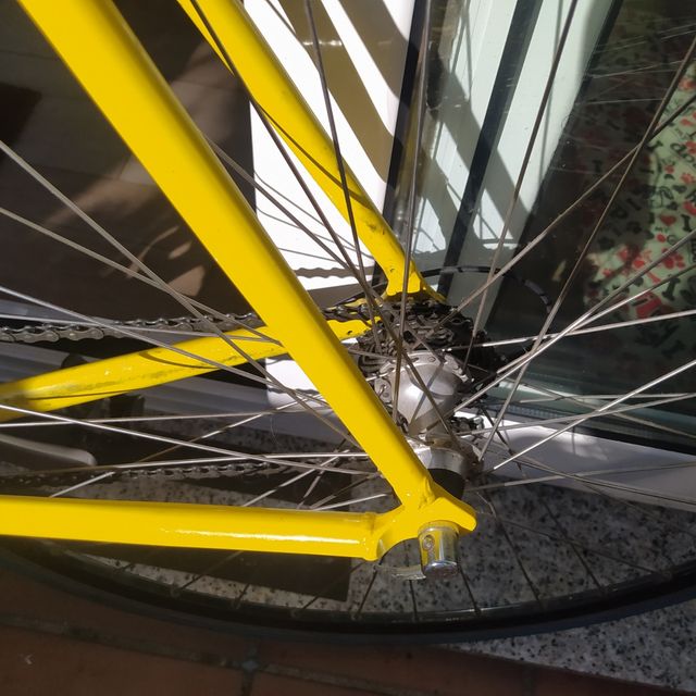 Bicicleta clásica, rodillo o ciudad.