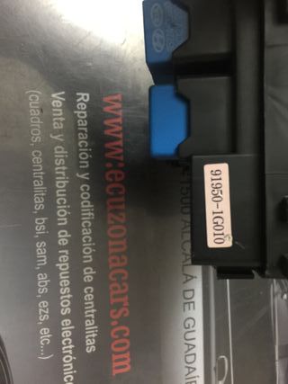 91950 1g010 919501g010