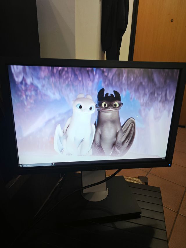 Monitor DELL 1909W 19 pollici 16:10