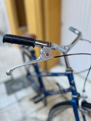 Bicicleta clásica paseo