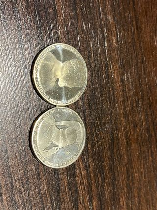 Monedas Griegas Acropolis Museum Athena