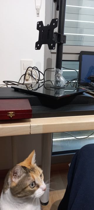 Soporte pantalla o monitor
