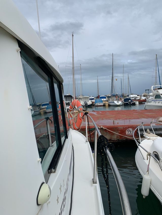 Barco starfisher 790 obs