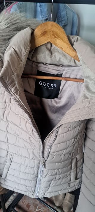 Plumas precioso GUESS