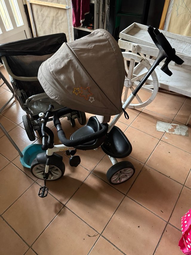 Triciclo Paseo