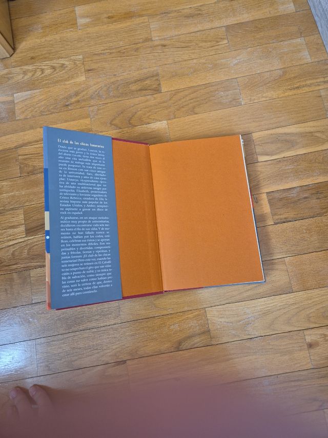 El club de las chicas temerarias