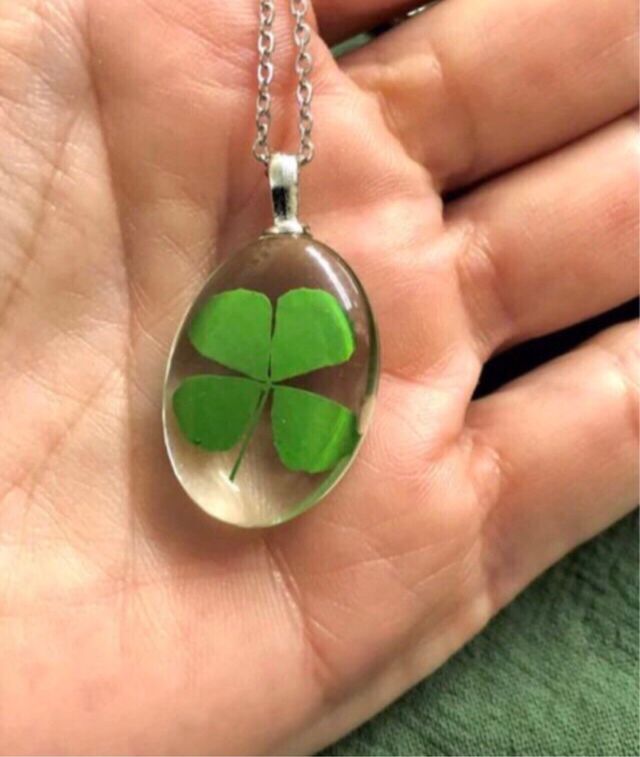 Trébol autentico de 4 Hojas