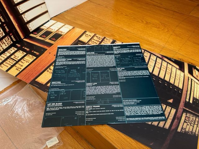 NUOVO LP UFFICIALE dei Pearl Jam Lost Dogs