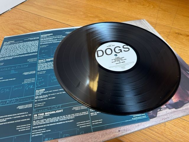 NUOVO LP UFFICIALE dei Pearl Jam Lost Dogs
