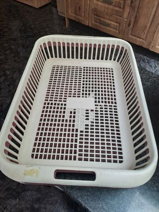 Accesorios para perros