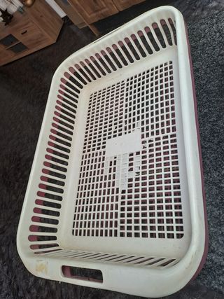 Accesorios para perros