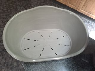 Accesorios para perros