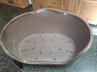 Accesorios para perros