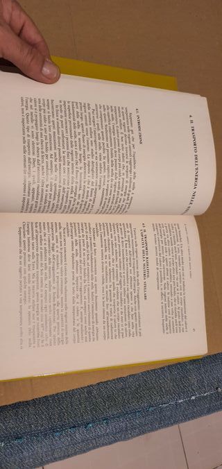 FISICA DELLE STELLE - KAPLAN