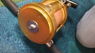 Canna da pesca mare mulinello Gladiator 12/0