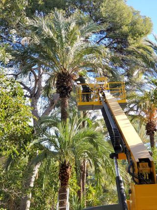" El Picapino " jardinería y poda