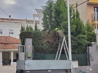 " El Picapino " jardinería y poda