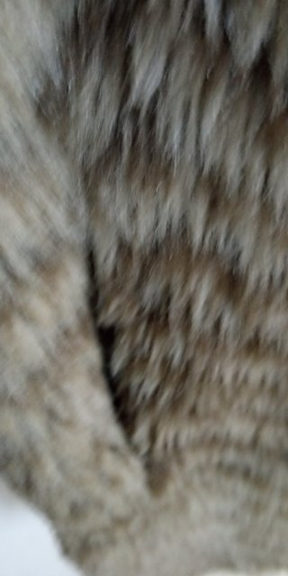 Chaquetón de señora.