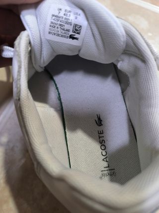 Zapatillas 