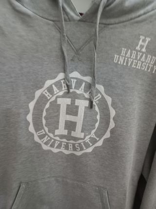 Felpa Champion cappuccio