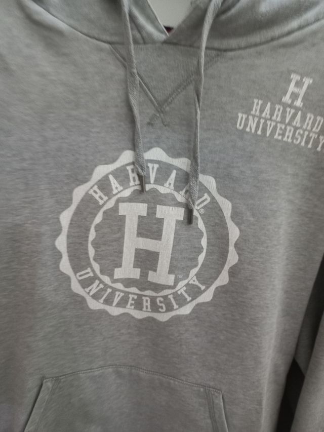 Felpa Champion cappuccio