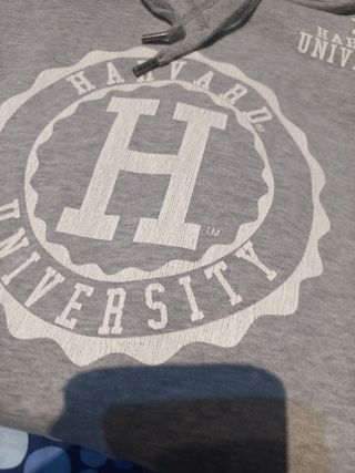 Felpa Champion cappuccio