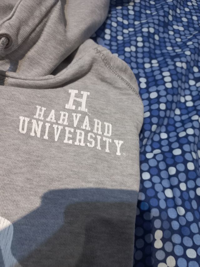 Felpa Champion cappuccio