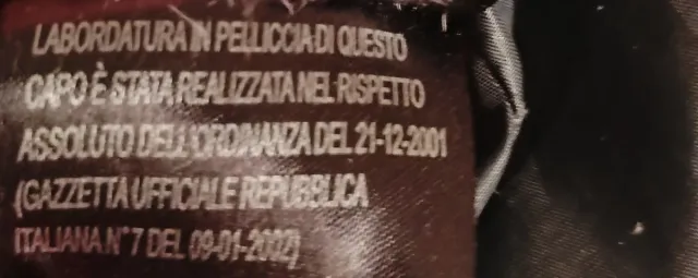 Giaccone piumino donna