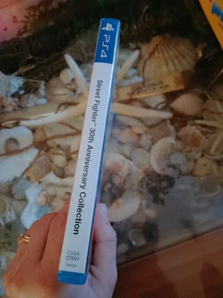 STREET FIGHTER 30 th Anniversary  ps4