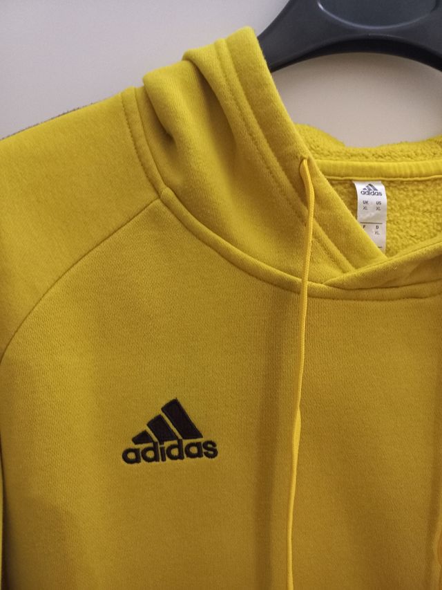 Felpa Adidas con cappuccio